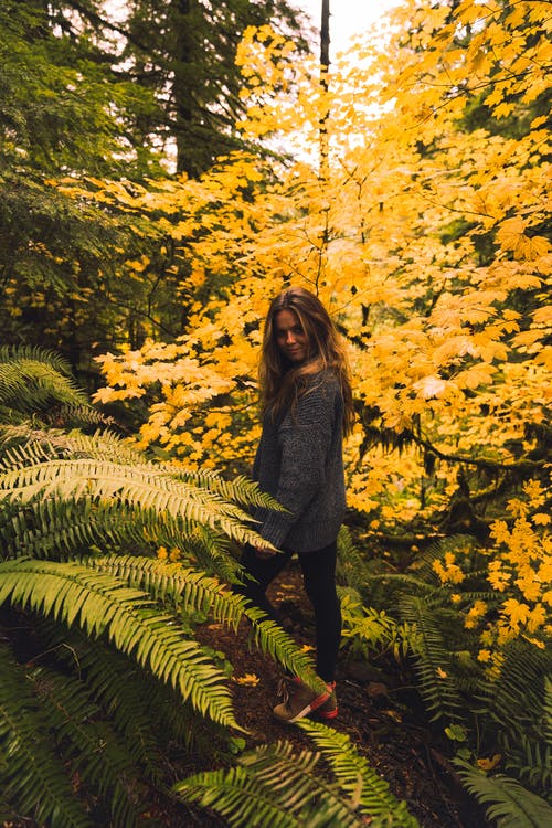 站在黄色的植物附近的女人的照片 · 免费素材图片