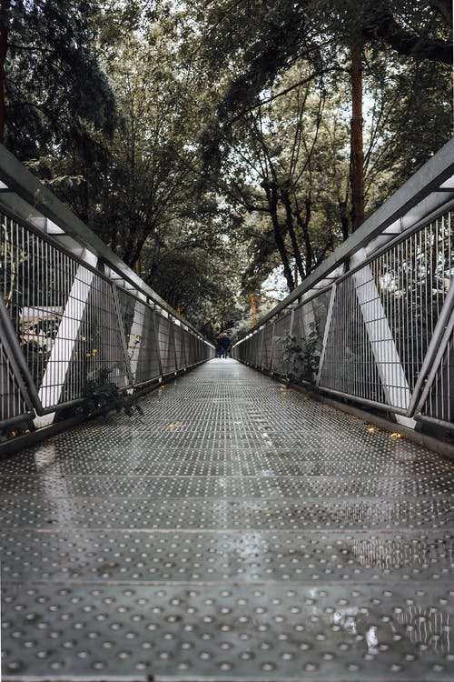 灰色金属桥和树木 · 免费素材图片