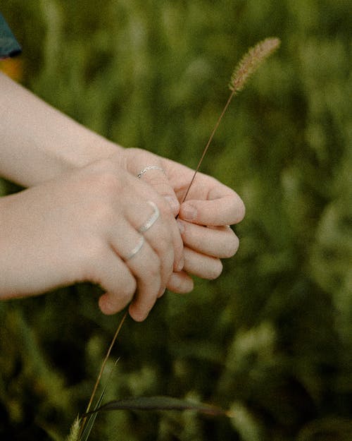 三个银戒指 · 免费素材图片