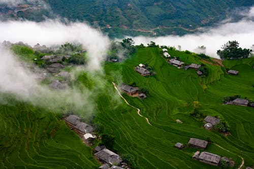 白天的建筑物和草覆盖的田野 · 免费素材图片