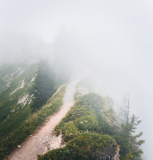 雾包围的山上的途径 · 免费素材图片