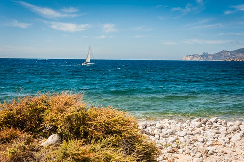 帆船在水面上 · 免费素材图片