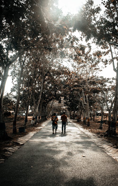两人行走的灰度摄影 · 免费素材图片