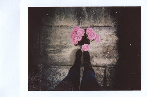 棕色表面上的粉红色花朵 · 免费素材图片