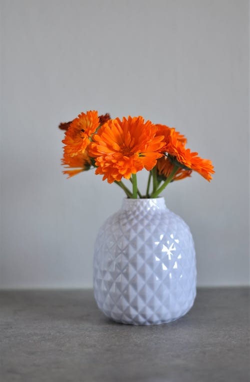 橙花白色陶瓷花瓶 · 免费素材图片