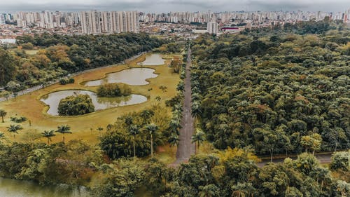 图聚科技