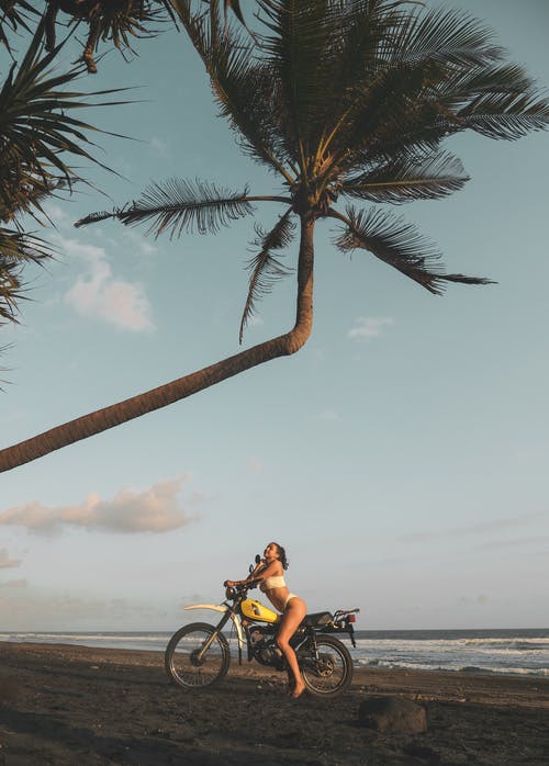 女人骑摩托车在棕榈树下 · 免费素材图片