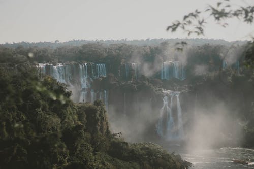 有关Copyspace, 不变, 分公司的免费素材图片