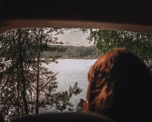 水体附近的绿叶树木 · 免费素材图片