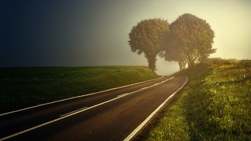 树木附近的灰色公路 · 免费素材图片