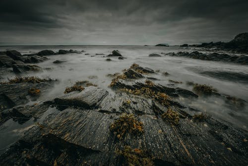 海滨灰度摄影 · 免费素材图片