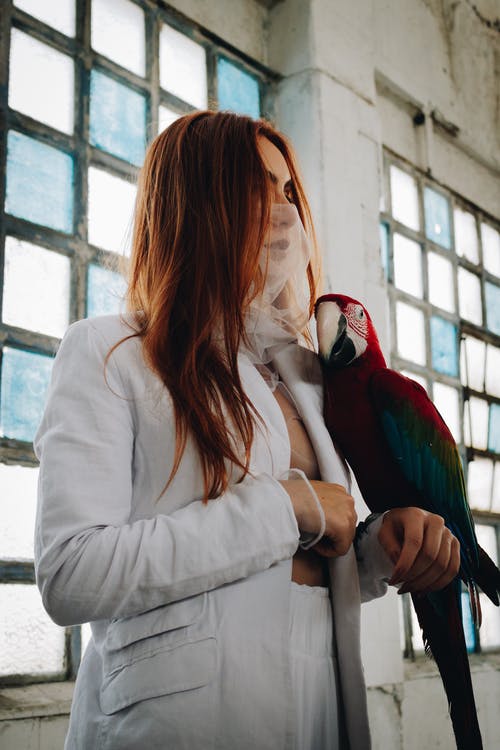 金刚鹦鹉栖息在女人的手上的照片 · 免费素材图片