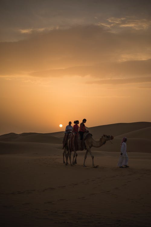 人们在日落时骑骆驼的摄影 · 免费素材图片