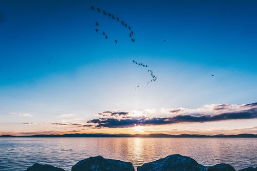 白天海的风景照片 · 免费素材图片