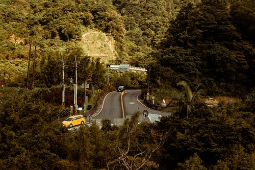 黑色的车辆，在道路上包围着高大的绿树 · 免费素材图片