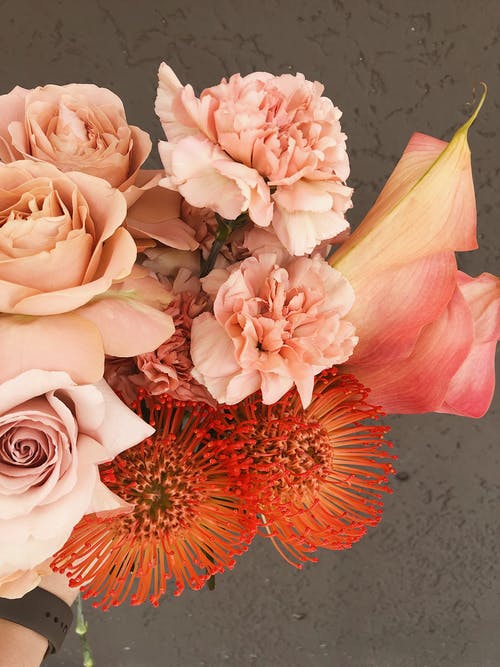 嫩束粉色和红色的花朵 · 免费素材图片