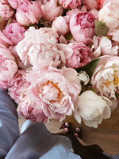 玫瑰和牡丹的精致花束 · 免费素材图片