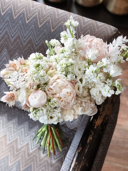 束新鲜的白色花卉花 · 免费素材图片