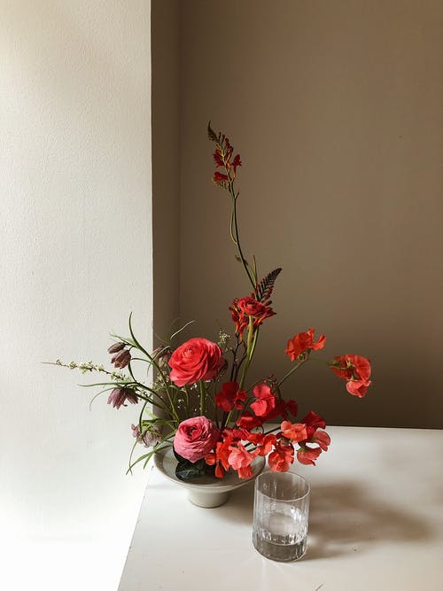 花瓶里的花的照片 · 免费素材图片