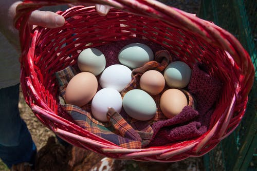 有关复活节, 篮子, 蛋的免费素材图片