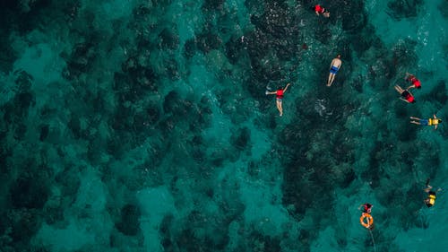 人们在海里浮潜 · 免费素材图片