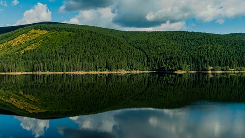 绿树岛的镜景 · 免费素材图片