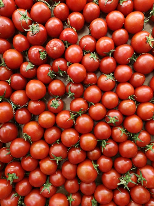 船上的红番茄 · 免费素材图片