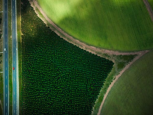 无人机拍摄的农田里的艺术品 · 免费素材图片