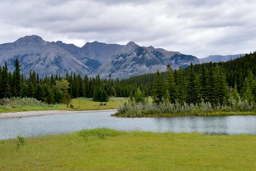树木和草丛附近的湖照片 · 免费素材图片