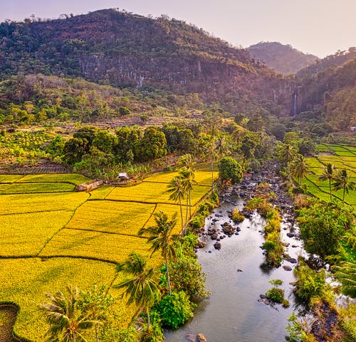 绿山风景摄影 · 免费素材图片
