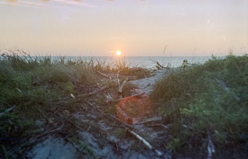 黎明时海滨的照片 · 免费素材图片