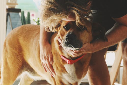 被人拥抱的照片 · 免费素材图片