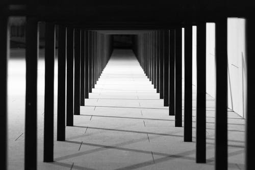 有关bw, 元素, 内部的免费素材图片