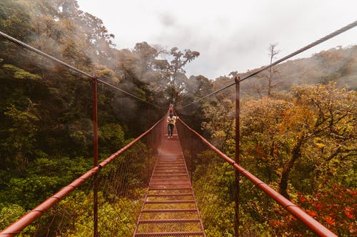 在吊桥上行走的人 · 免费素材图片