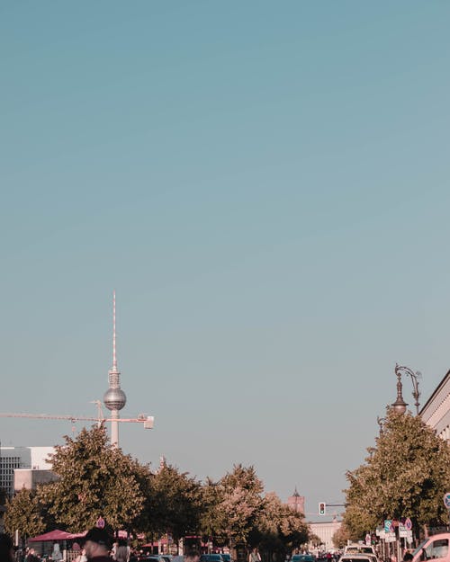 低角度的树木照片 · 免费素材图片