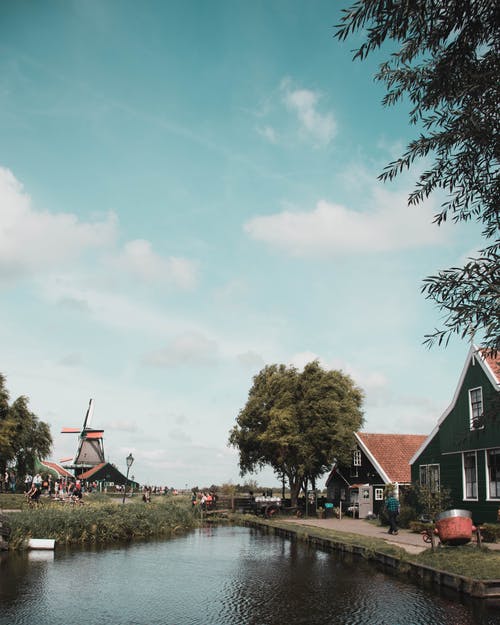 水体旁边的绿树 · 免费素材图片