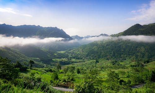 绿树和山 · 免费素材图片