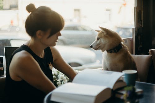 女人坐在一起的狗的照片 · 免费素材图片