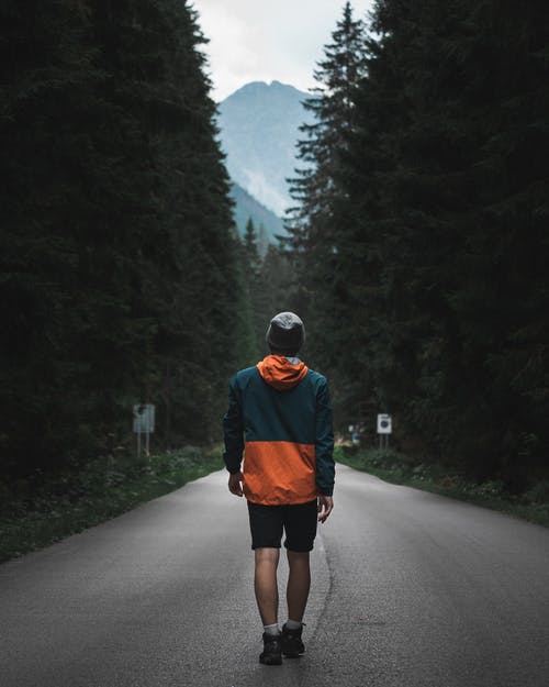 在树木附近的道路上行走的人的照片 · 免费素材图片