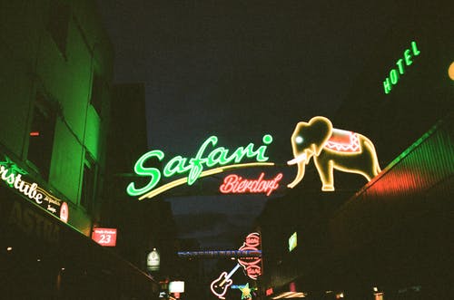 绿色，黄色和红色safari Bierdorf霓虹灯标牌 · 免费素材图片
