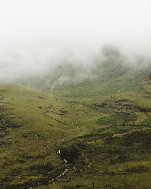 草地的航拍照片 · 免费素材图片