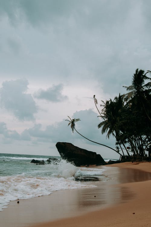 白天海滩的照片 · 免费素材图片