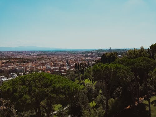 绿树 · 免费素材图片