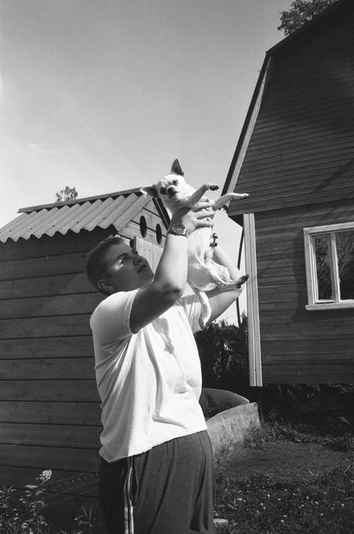 男子携带吉娃娃 · 免费素材图片