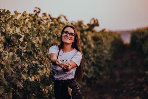 女人穿着白色圆领t恤站在绿色的植物旁边 · 免费素材图片
