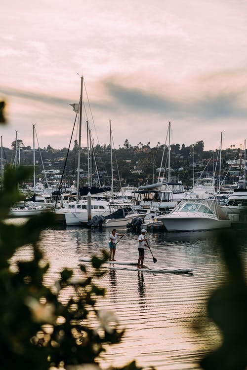 男人和女人在桨板上 · 免费素材图片