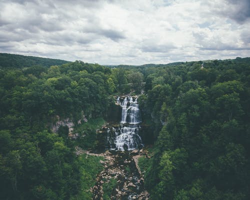 树木环绕的瀑布的风景 · 免费素材图片