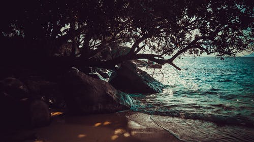 白天的海滨照片 · 免费素材图片