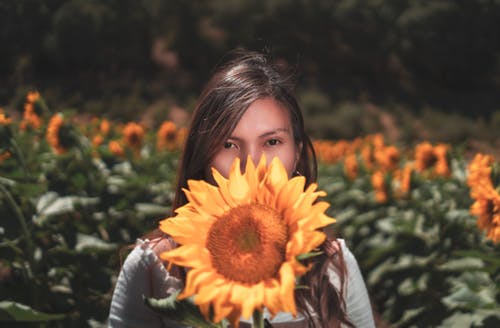 女人捂着脸与向日葵 · 免费素材图片