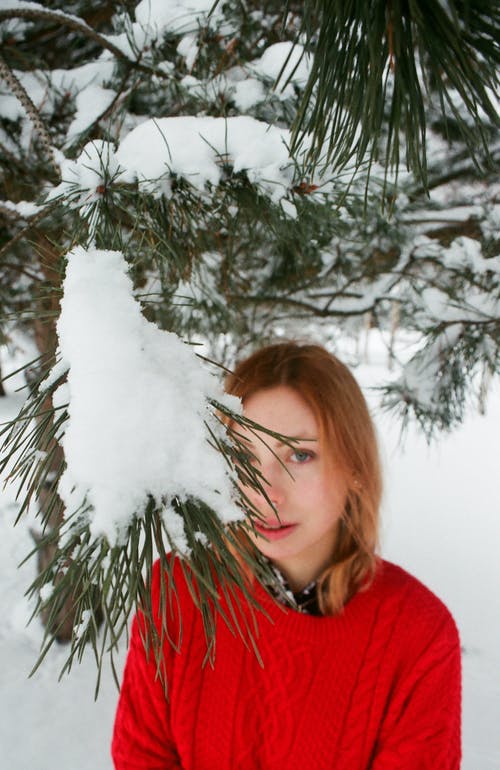 女人在与雪松树下 · 免费素材图片